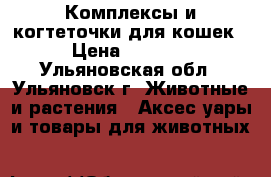 Комплексы и когтеточки для кошек › Цена ­ 1 500 - Ульяновская обл., Ульяновск г. Животные и растения » Аксесcуары и товары для животных   